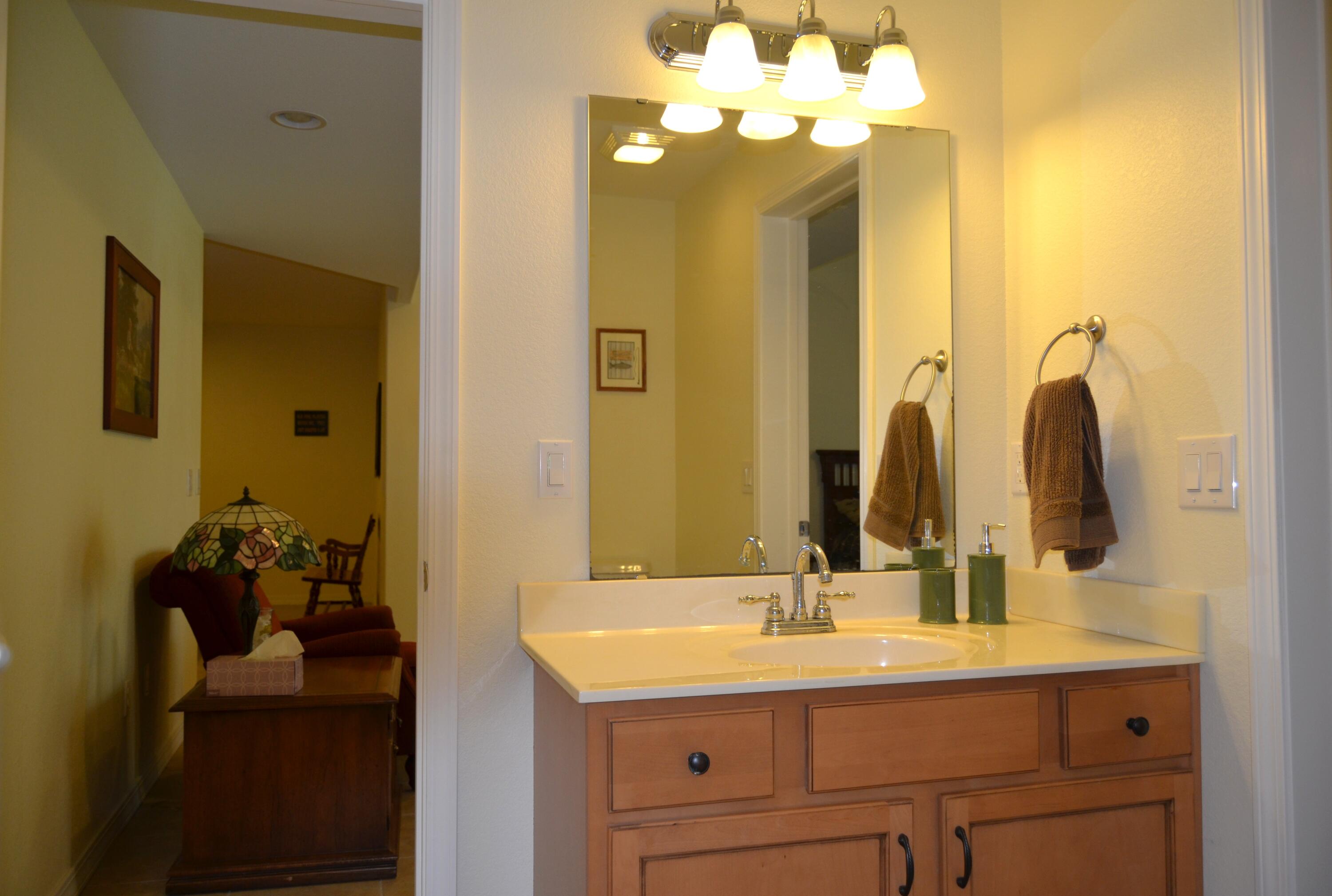 407 Millwood Drive Reeds Spring, MO 65737 - Photo 26 of 48 Guest Bath