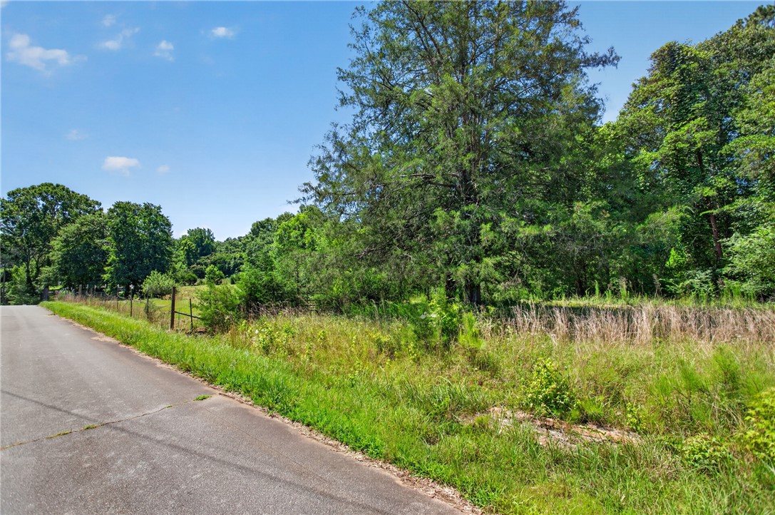 0 Seneca Springs Landing Road Seneca, SC 29678 - Photo 15 of 39 Mature trees frame a verdant lot alongside a paved country road, offering privacy and natural beauty.