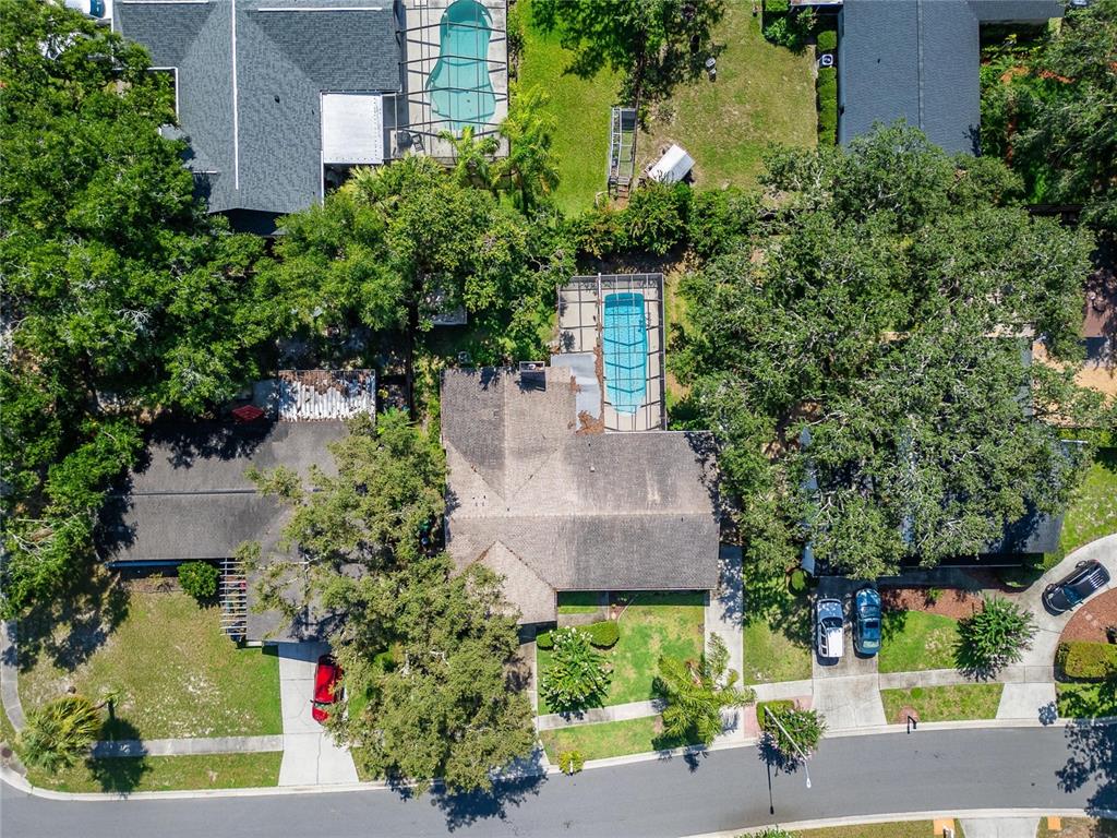 9403 Bellhaven Street Temple Terrace, FL 33637 - Photo 55 of 59 front view of a house with a street