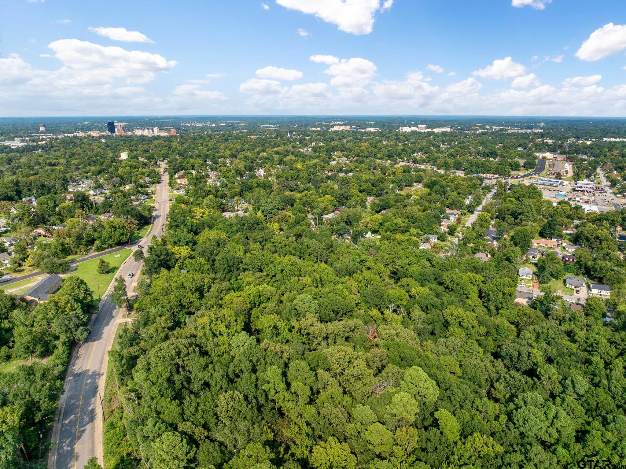 1408 Old Noonday Road Tyler, TX 75701 - Photo 11 of 13