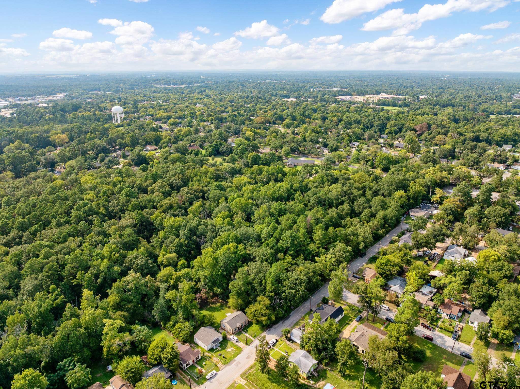 1408 Old Noonday Road Tyler, TX 75701 - Photo 13 of 13