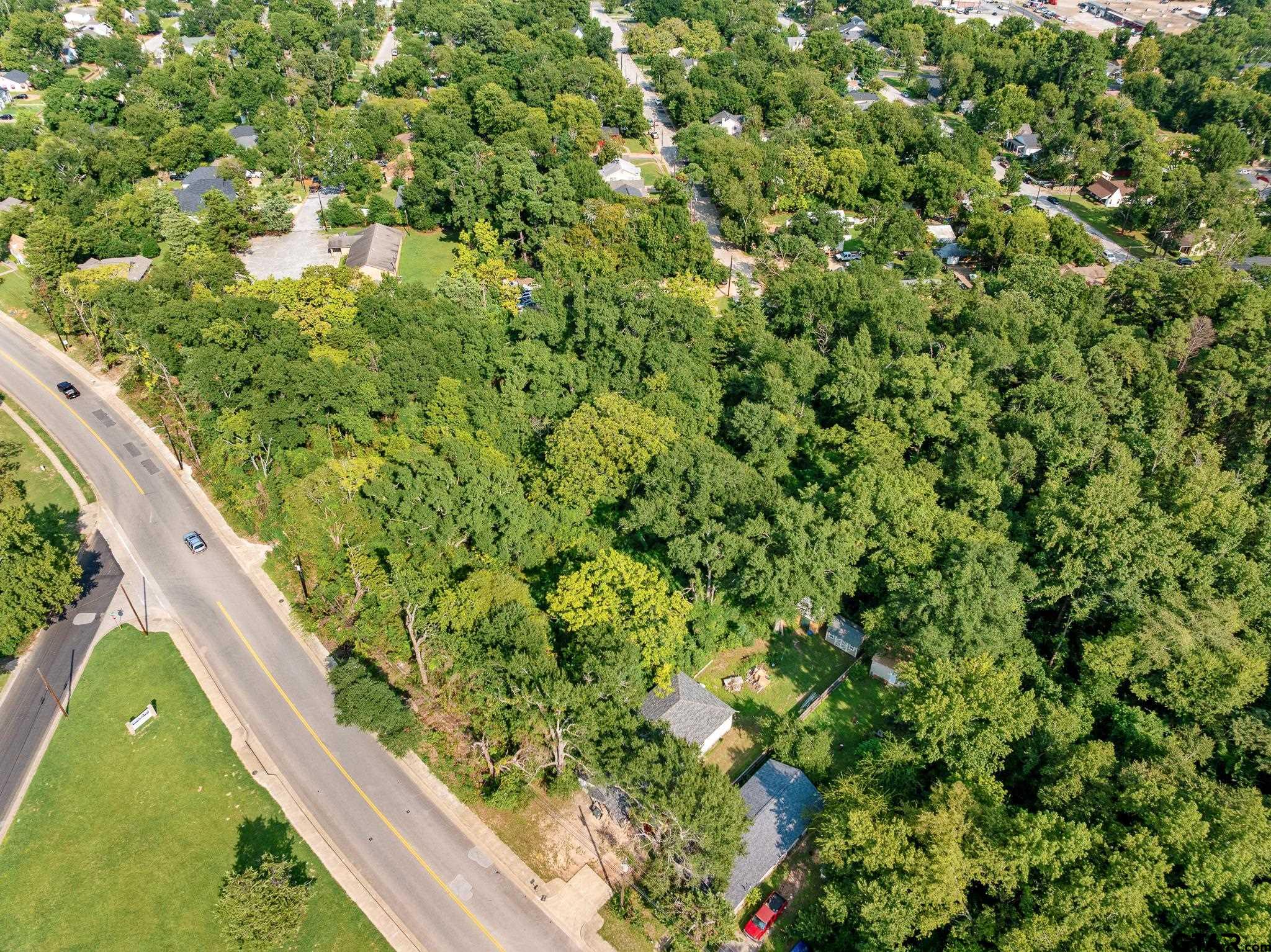 1408 Old Noonday Road Tyler, TX 75701 - Photo 9 of 13