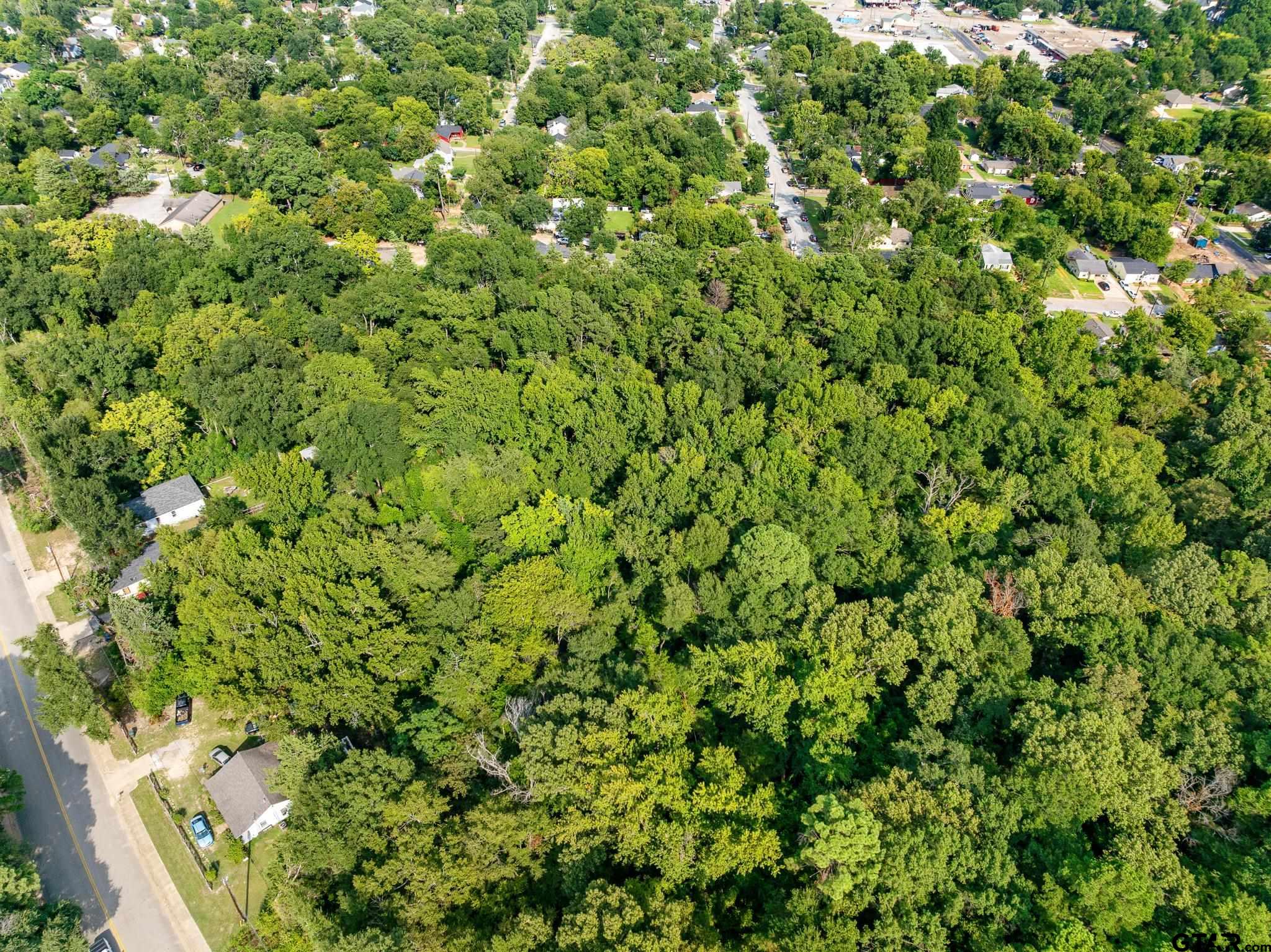 1408 Old Noonday Road Tyler, TX 75701 - Photo 10 of 13