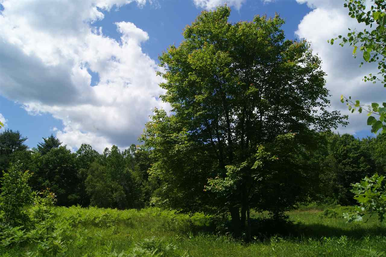 0 Foster Hill Road Henniker, NH 03242 - Photo 11 of 15 Gallery Image 11