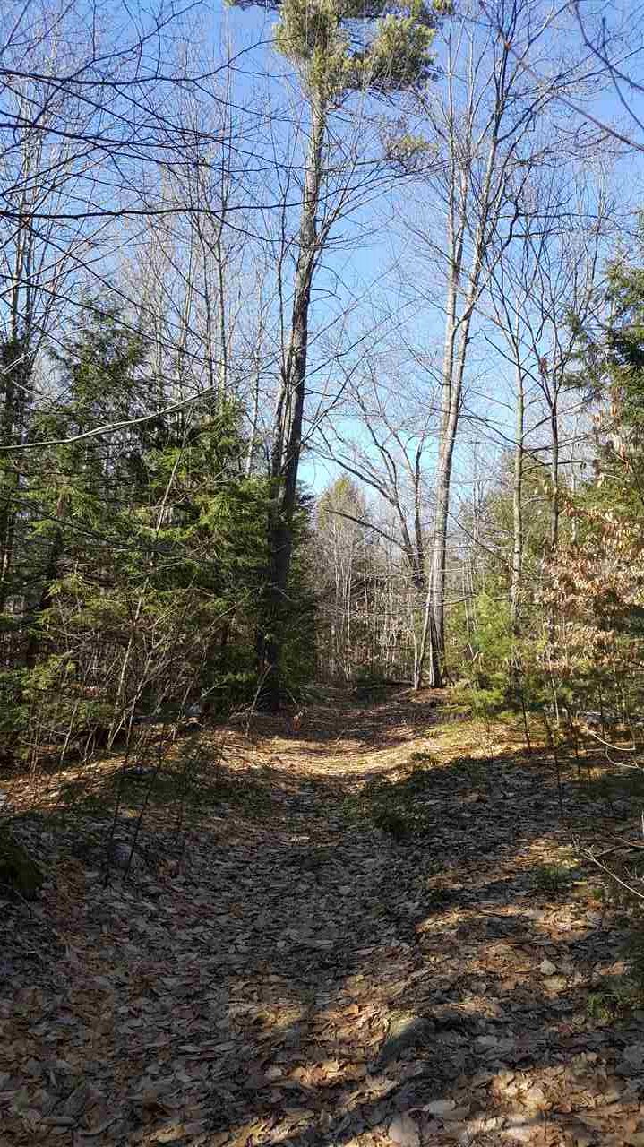 0 Foster Hill Road Henniker, NH 03242 - Photo 4 of 15 Gallery Image 4