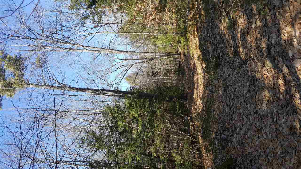 0 Foster Hill Road Henniker, NH 03242 - Photo 5 of 15 Gallery Image 5