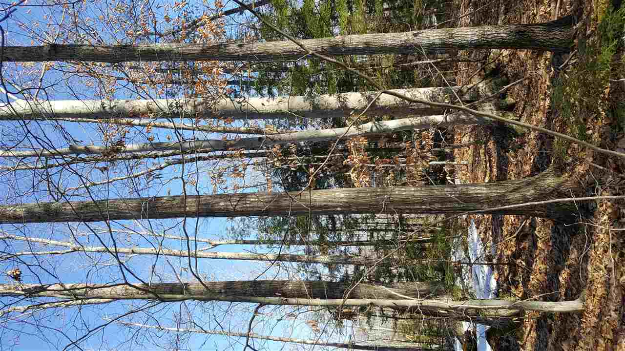0 Foster Hill Road Henniker, NH 03242 - Photo 7 of 15 Gallery Image 7