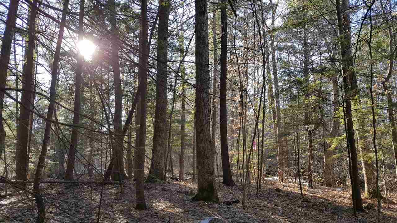 0 Foster Hill Road Henniker, NH 03242 - Photo 8 of 15 Gallery Image 8