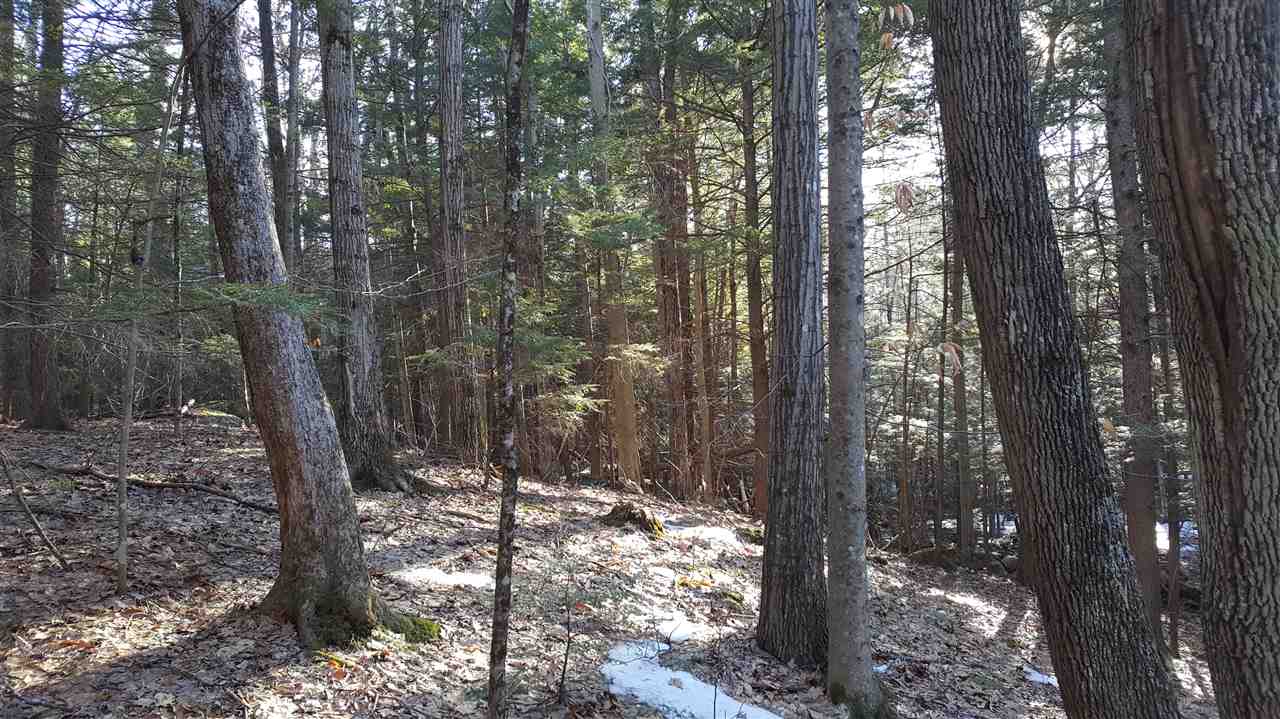 0 Foster Hill Road Henniker, NH 03242 - Photo 9 of 15 Gallery Image 9