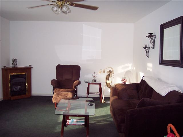 241 Dimmick Road Gansevoort, NY 12831 - Photo 3 of 9 Photo 3