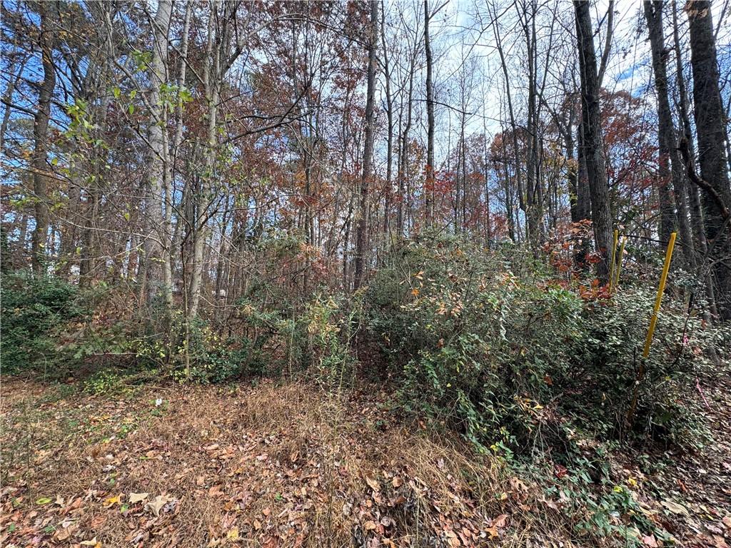0 Hamby Road Acworth, GA 30102 - Photo 2 of 4 a view of forest