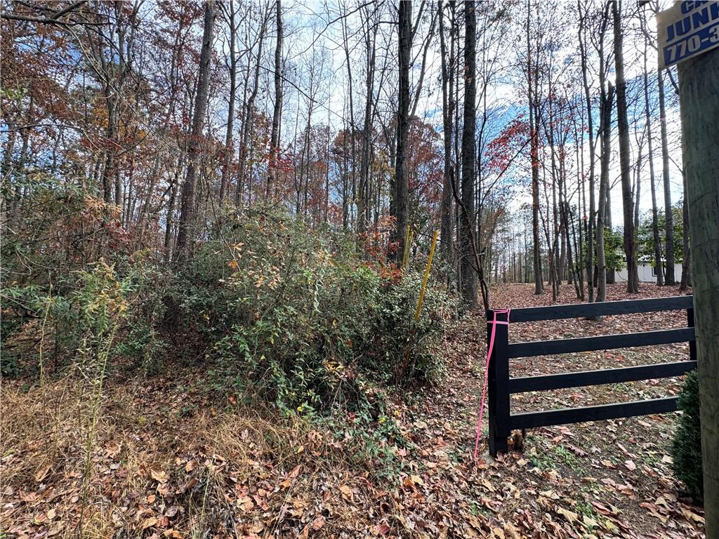 0 Hamby Road Acworth, GA 30102 - Photo 3 of 4 a view of a yard with large trees