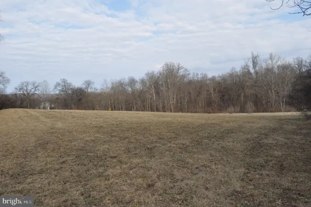 a view of a field with trees in background