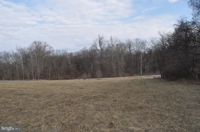 a view of dirt field with trees in background