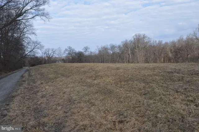 a view of an outdoor space and trees