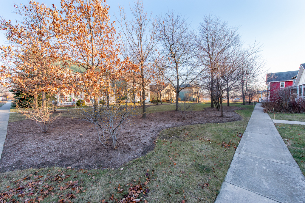 1004 Harris Road Grayslake, IL 60030 - Photo 21 of 24 a view of park with tree
