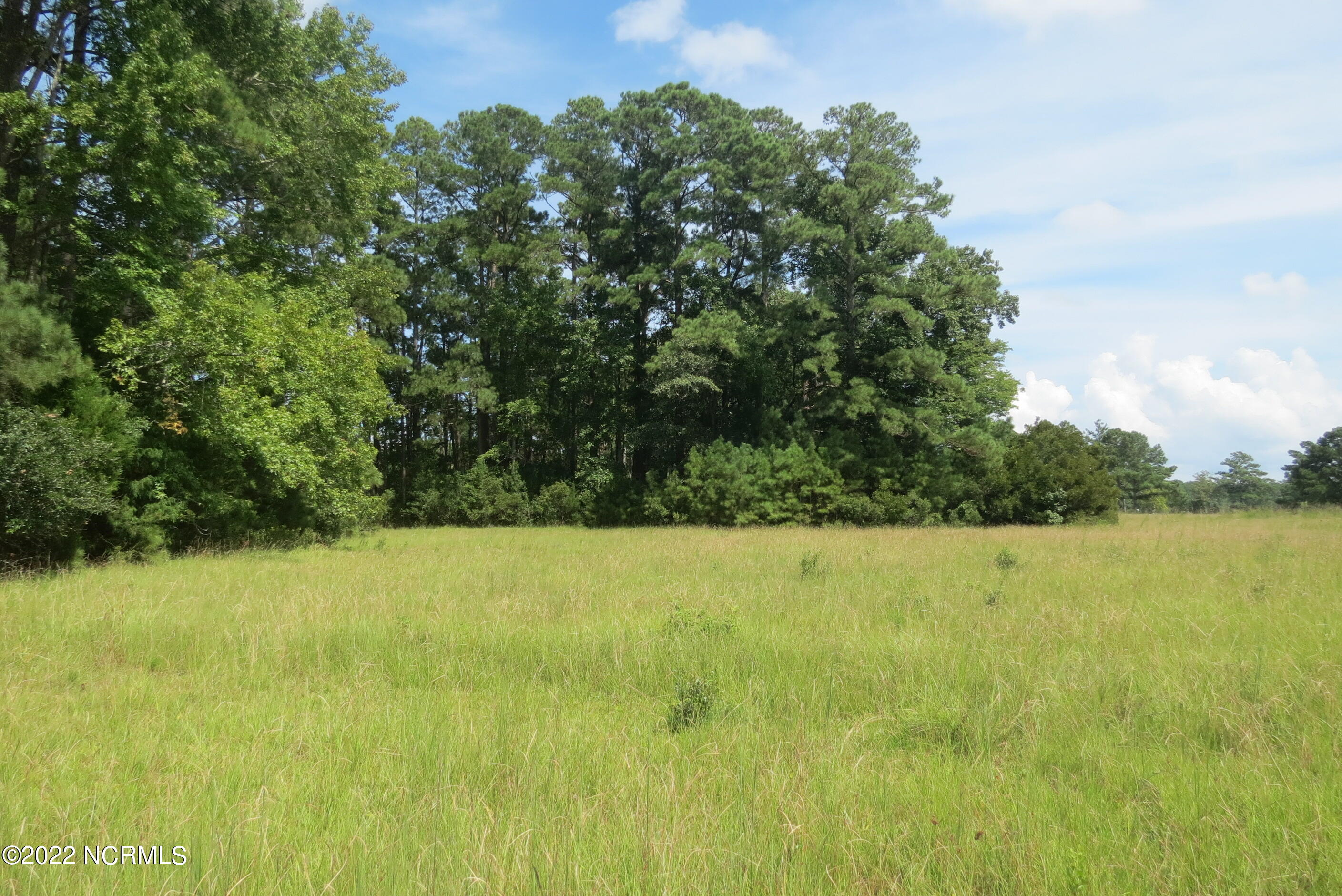 0 Quail Road Merritt, NC 28556 - Photo 9 of 44 Lot 5