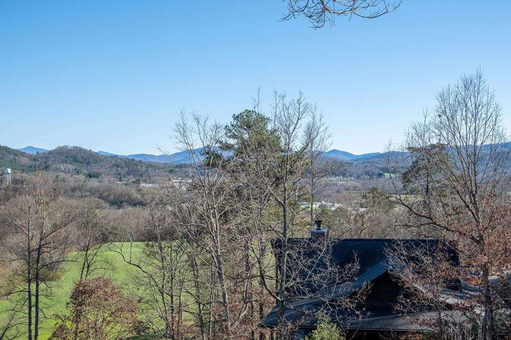 66 Mistletoe Ridge Murphy, NC 28906 - Photo 59 of 74