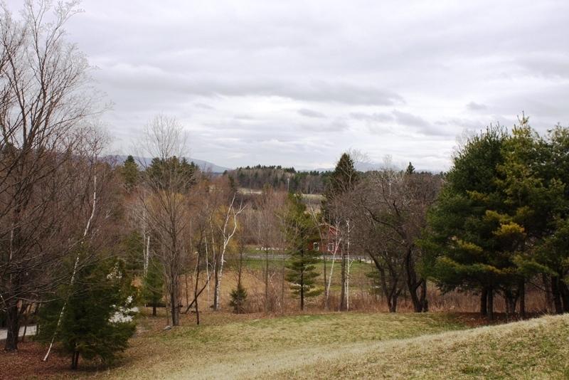 633 Tamarack Road Pittsfield, MA 01201 - Photo 16 of 16 Tamarack View