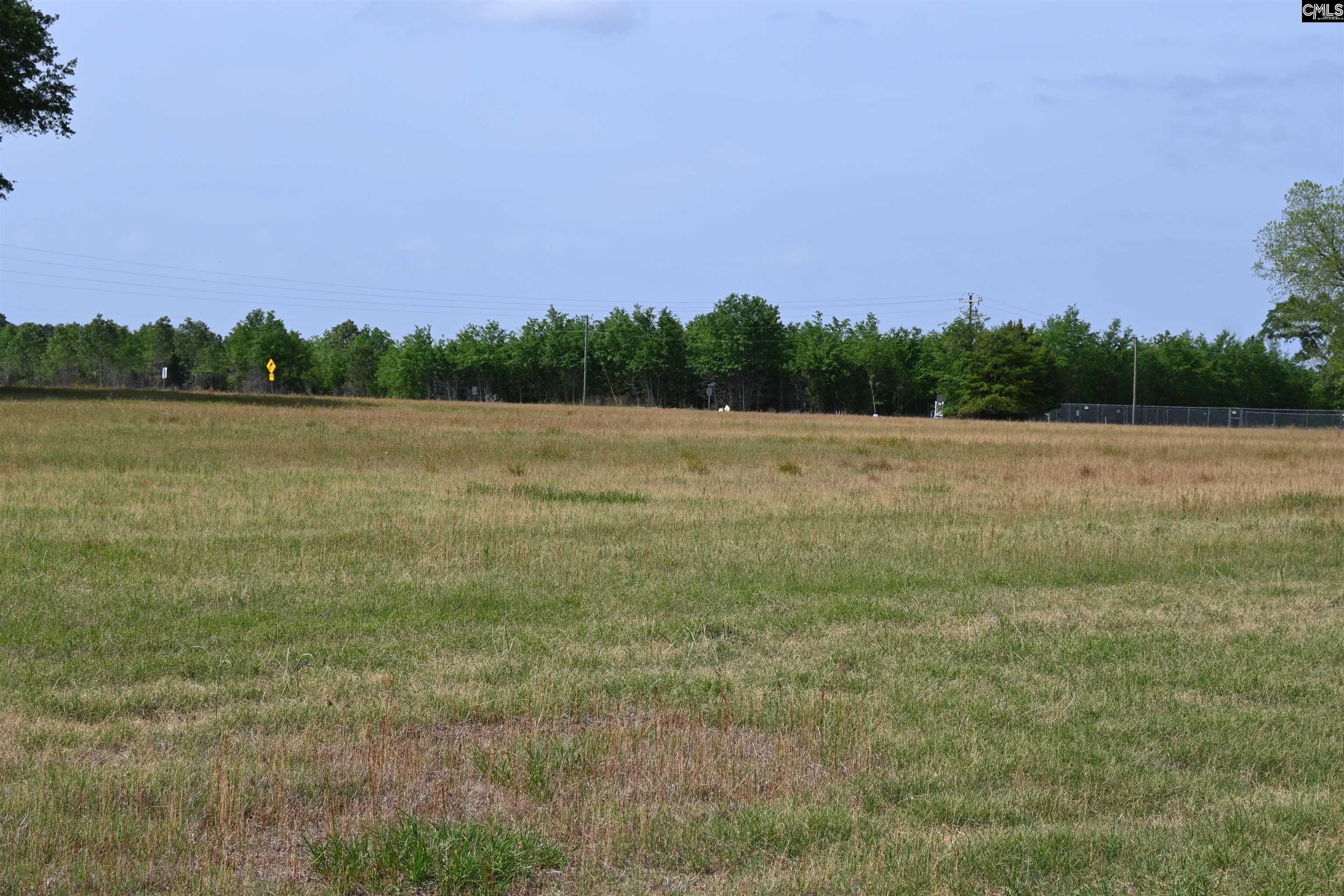 Tbd Gallowaytown Road Hartsville, SC 29550 - Photo 12 of 34