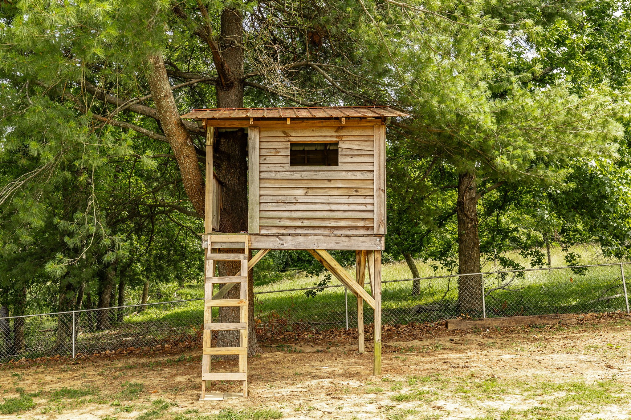 2205 Howell Road Greenbrier, TN 37073 - Photo 95 of 95