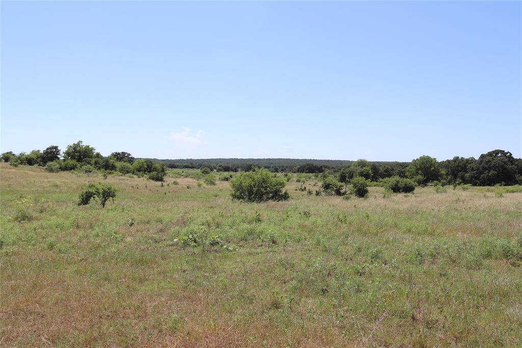 1878 Feed Road Bellevue, TX 76228 - Photo 11 of 23