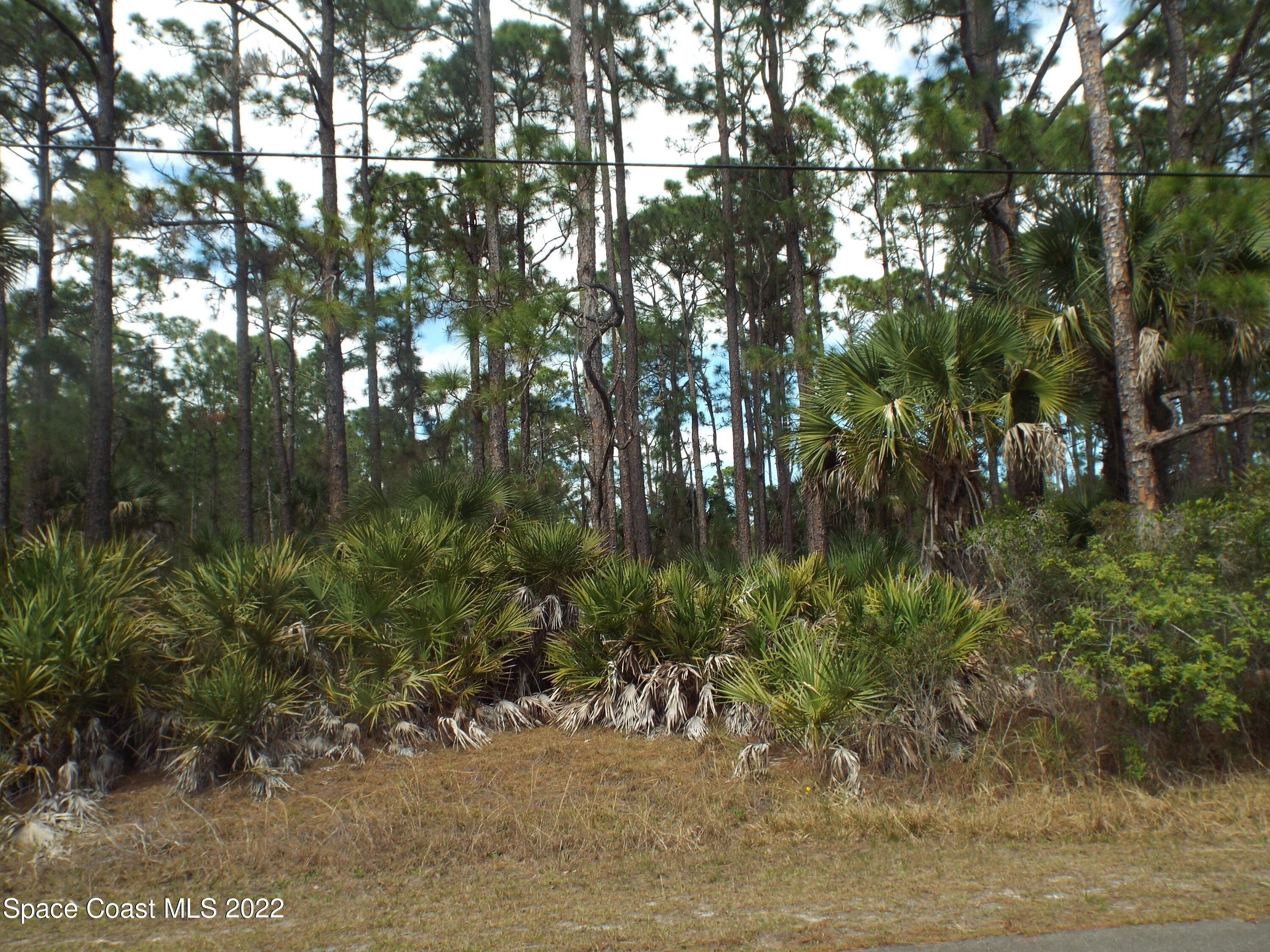 557 Lang Road Southwest Palm Bay, FL 32908 - Photo 1 of 2 557 Lang Rd SW, PB 001