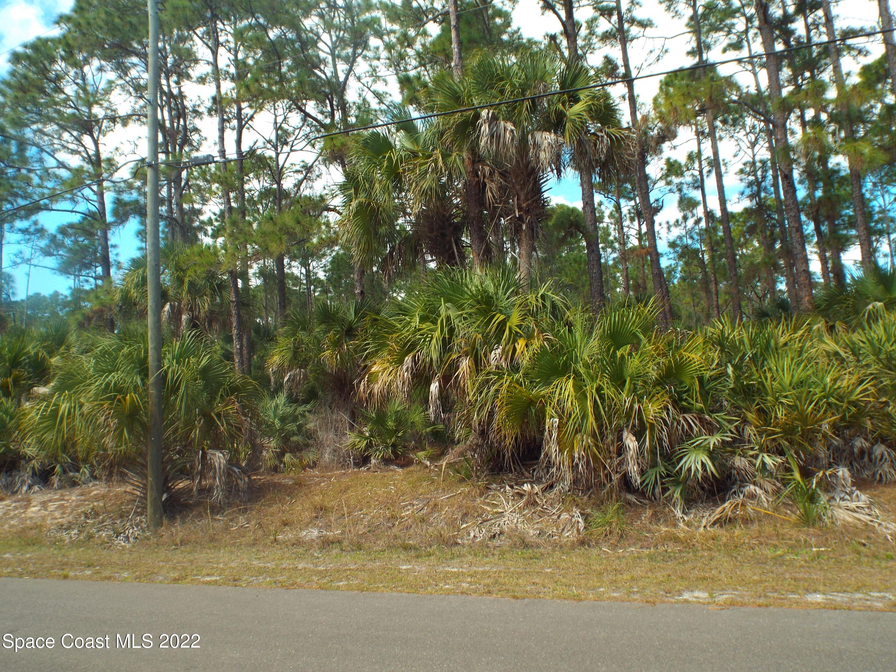 557 Lang Road Southwest Palm Bay, FL 32908 - Photo 2 of 2 557 Lang Rd SW, PB 002