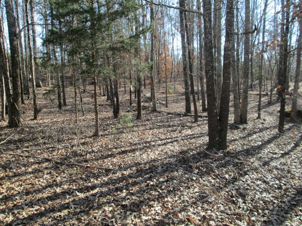 194 Sweeney Road Benton, TN 37307 - Photo 1 of 17 IMG_1218