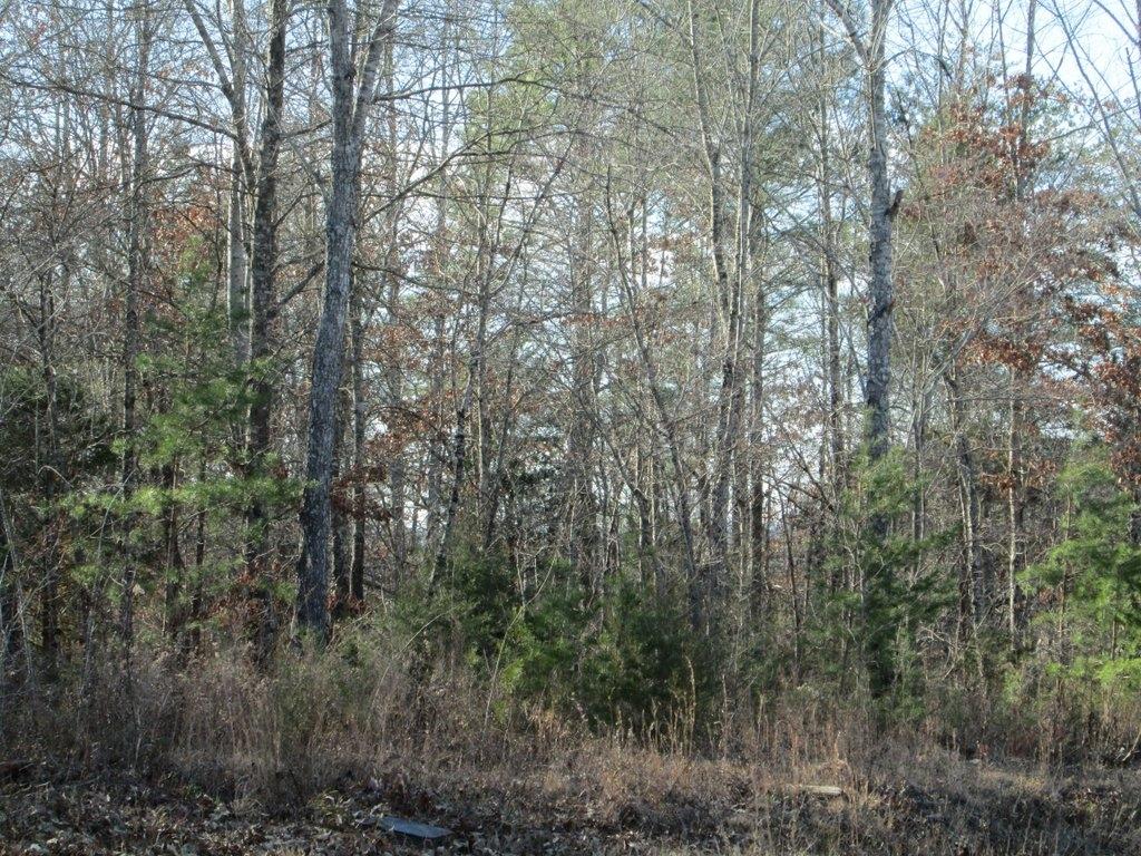 194 Sweeney Road Benton, TN 37307 - Photo 11 of 17 IMG_1234