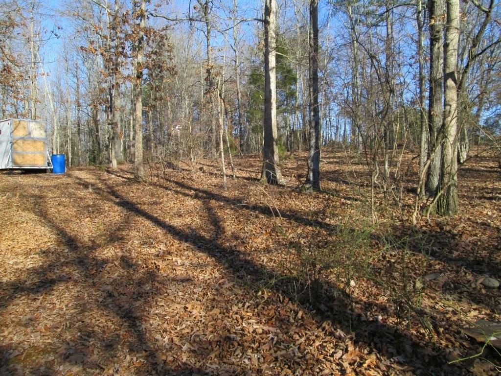 194 Sweeney Road Benton, TN 37307 - Photo 14 of 17 IMG_1229