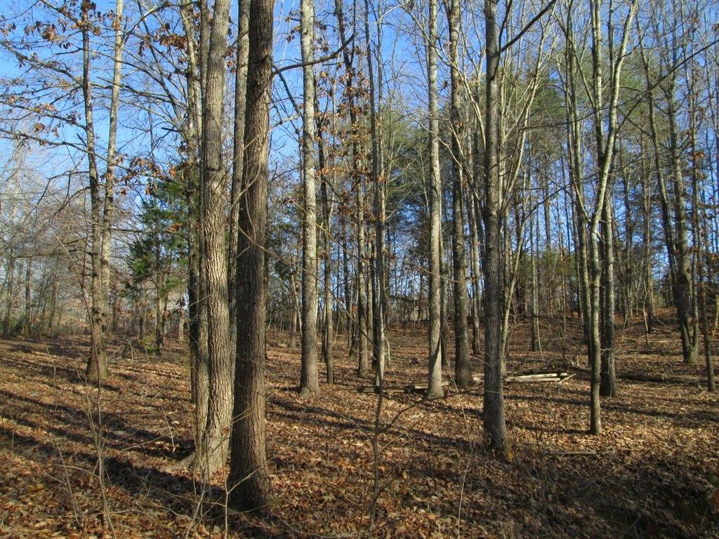 194 Sweeney Road Benton, TN 37307 - Photo 3 of 17 IMG_1219