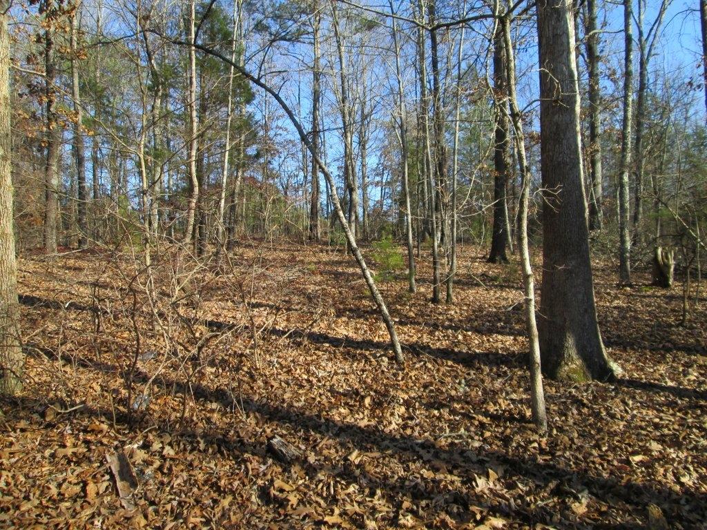 194 Sweeney Road Benton, TN 37307 - Photo 4 of 17 IMG_1224