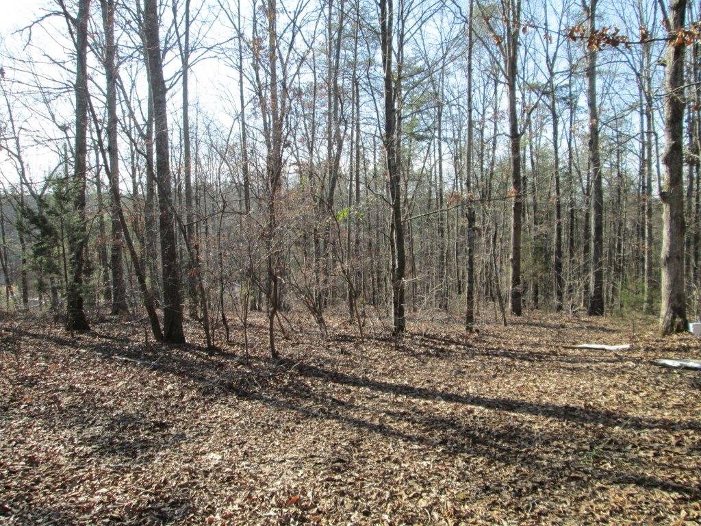 194 Sweeney Road Benton, TN 37307 - Photo 5 of 17 IMG_1225