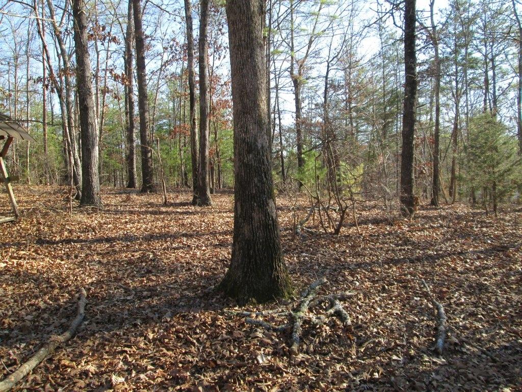 194 Sweeney Road Benton, TN 37307 - Photo 6 of 17 IMG_1226