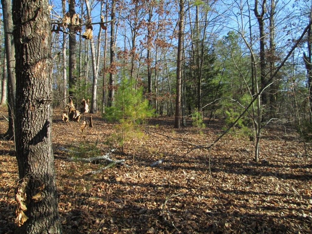 194 Sweeney Road Benton, TN 37307 - Photo 7 of 17 IMG_1230