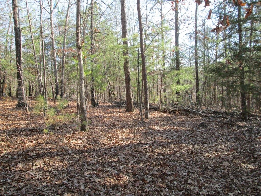 194 Sweeney Road Benton, TN 37307 - Photo 8 of 17 IMG_1231