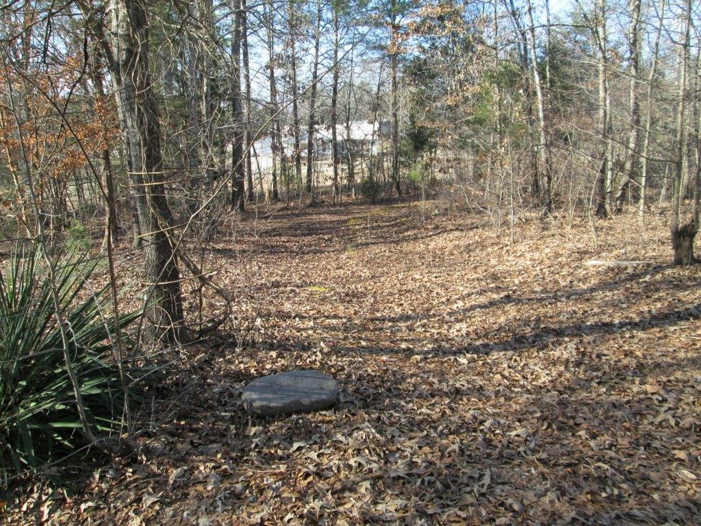 194 Sweeney Road Benton, TN 37307 - Photo 10 of 17 IMG_1217