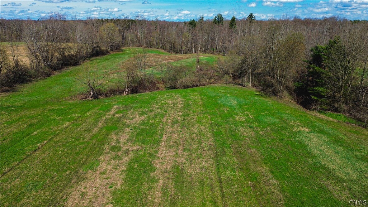0 Lake Road Oneida, NY 13421 - Photo 14 of 21