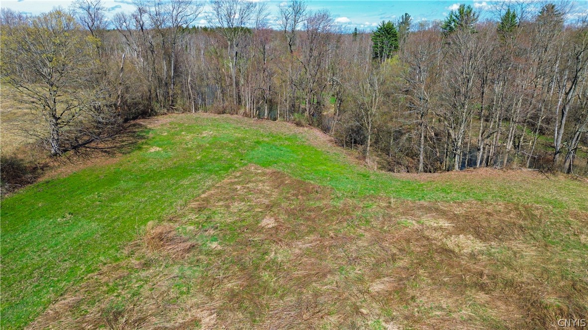0 Lake Road Oneida, NY 13421 - Photo 19 of 21