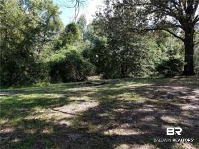 4165 Walker Springs Road Grove Hill, AL 36451 - Photo 9 of 12