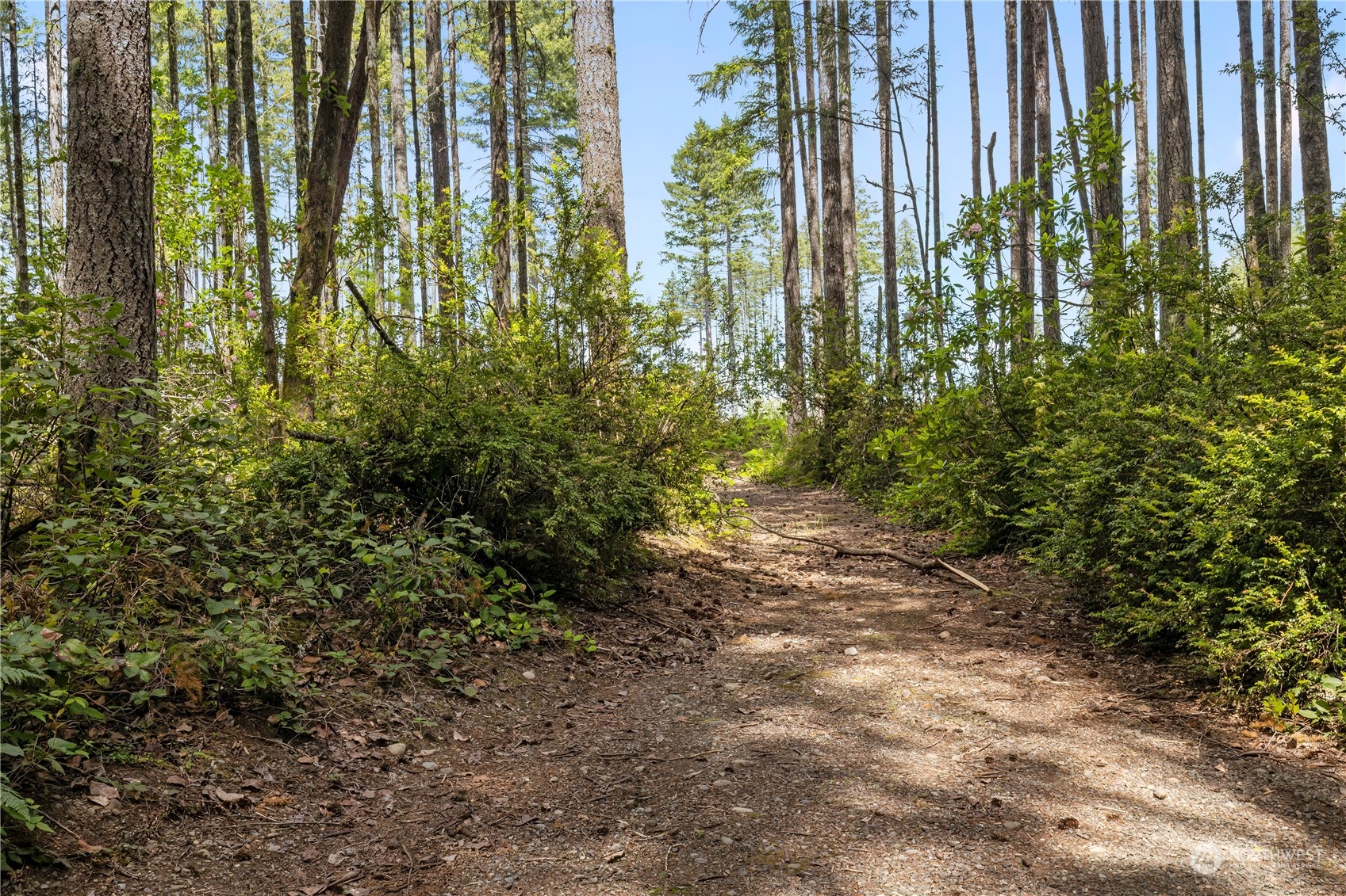 172 Meek Hill Road Belfair, WA 98528 - Photo 39 of 40 Gallery Image 39