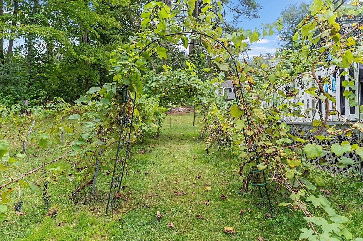 7 Vassar Drive Pelham, NH 03076 - Photo 37 of 38