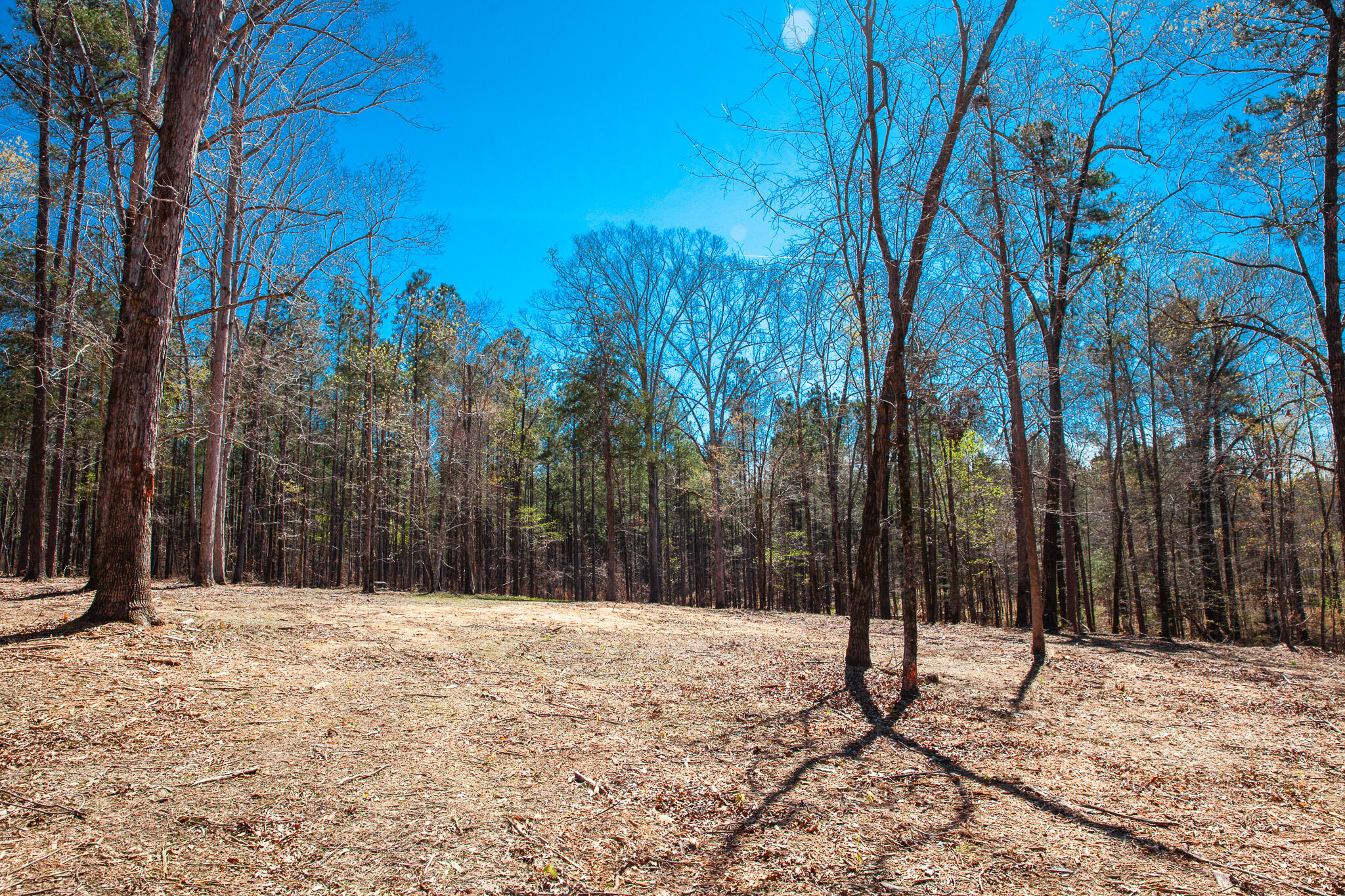 0 Mt Zion Church Road Lincolnton, GA 30817 - Photo 11 of 20 IMG_5034