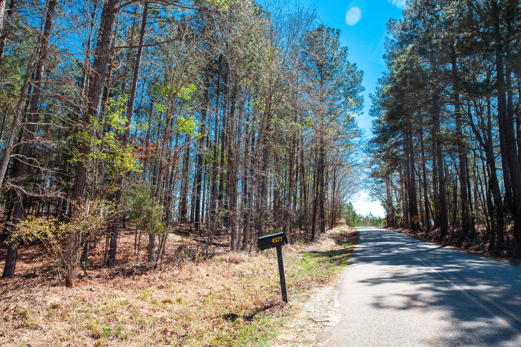 0 Mt Zion Church Road Lincolnton, GA 30817 - Photo 15 of 20 IMG_5019