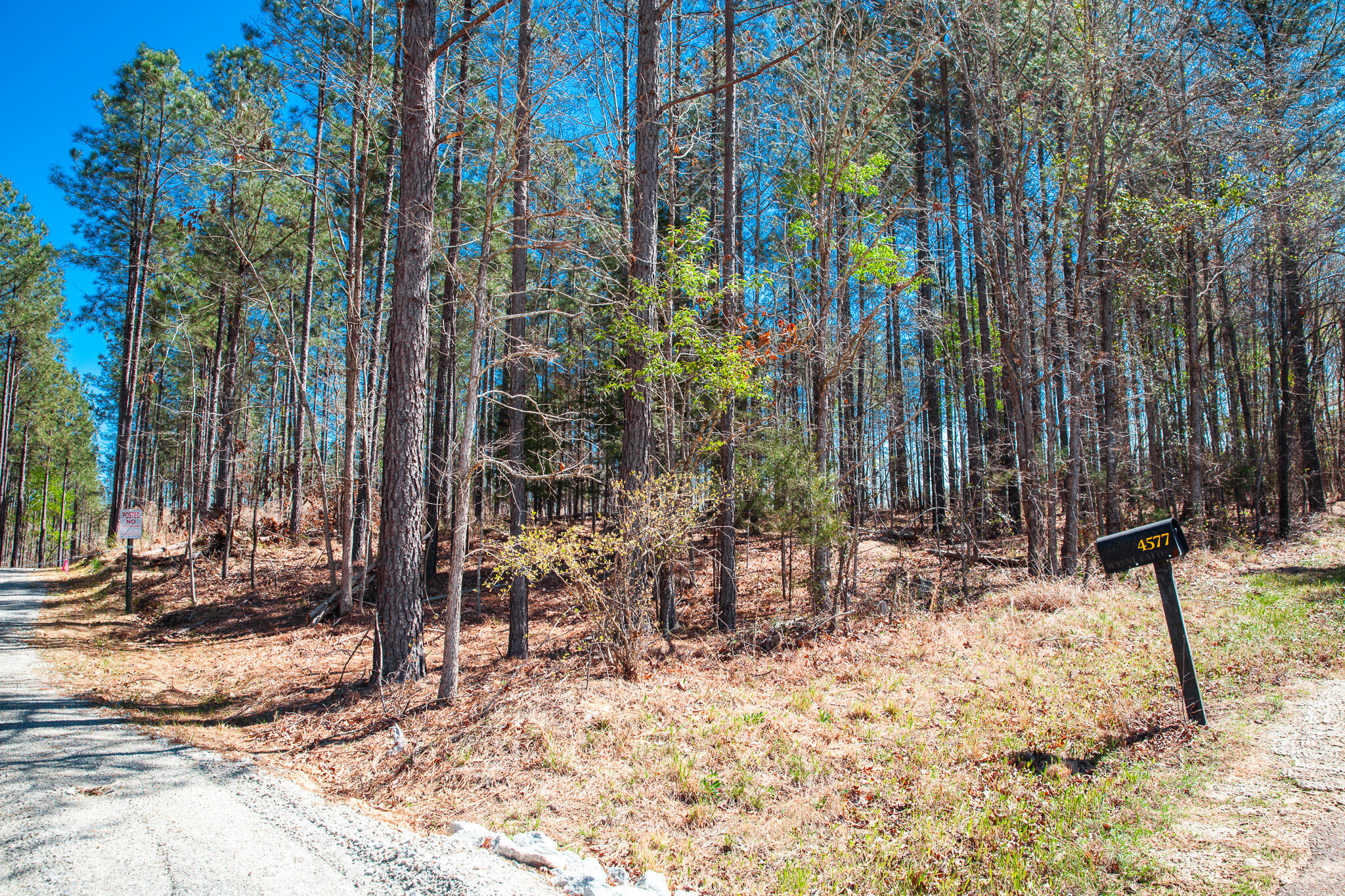 0 Mt Zion Church Road Lincolnton, GA 30817 - Photo 16 of 20 IMG_5020