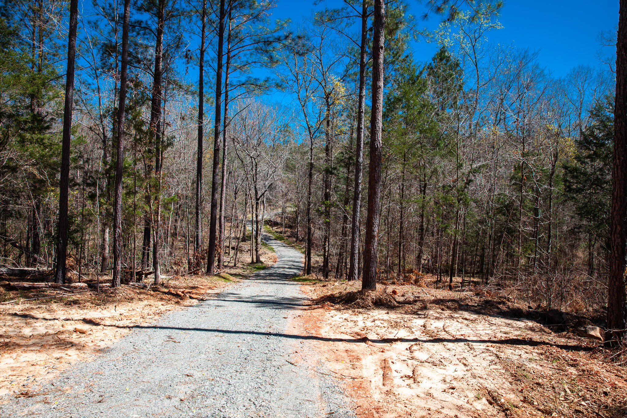 0 Mt Zion Church Road Lincolnton, GA 30817 - Photo 18 of 20 IMG_5022