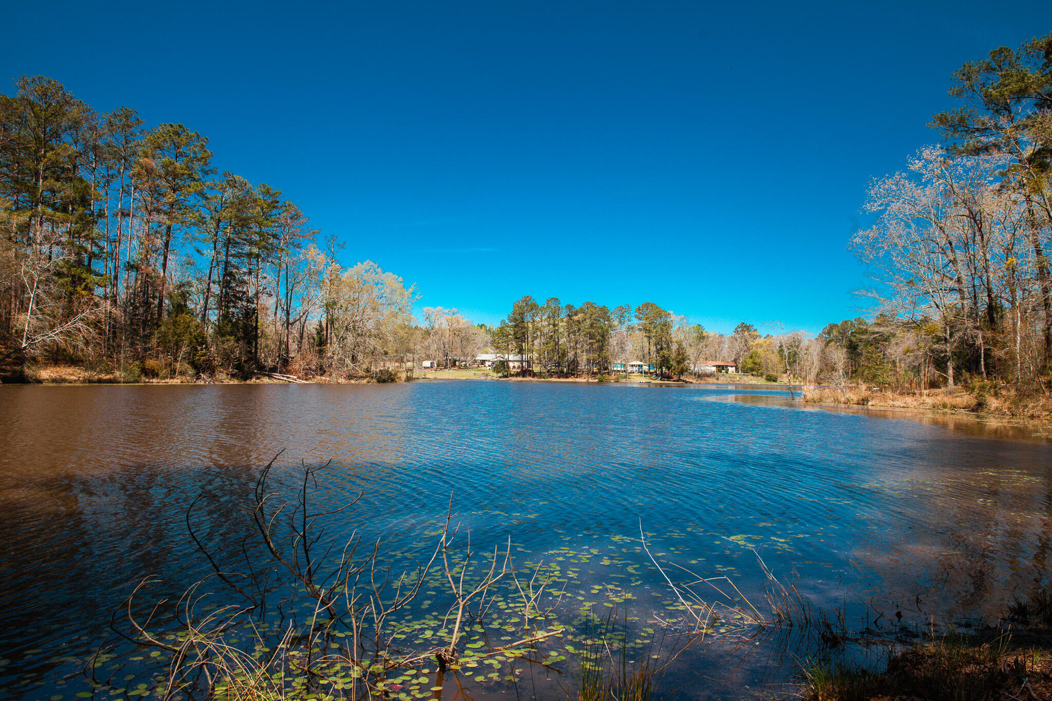 0 Mt Zion Church Road Lincolnton, GA 30817 - Photo 2 of 20 IMG_5031