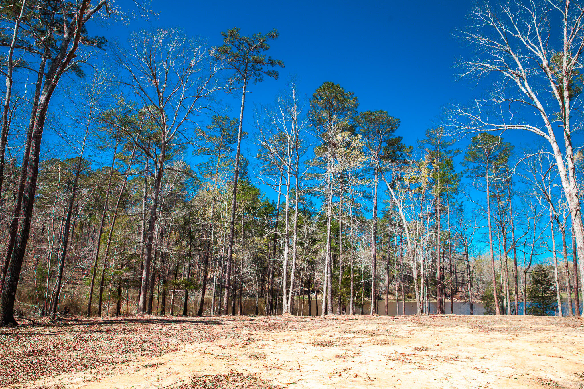0 Mt Zion Church Road Lincolnton, GA 30817 - Photo 5 of 20 IMG_5027