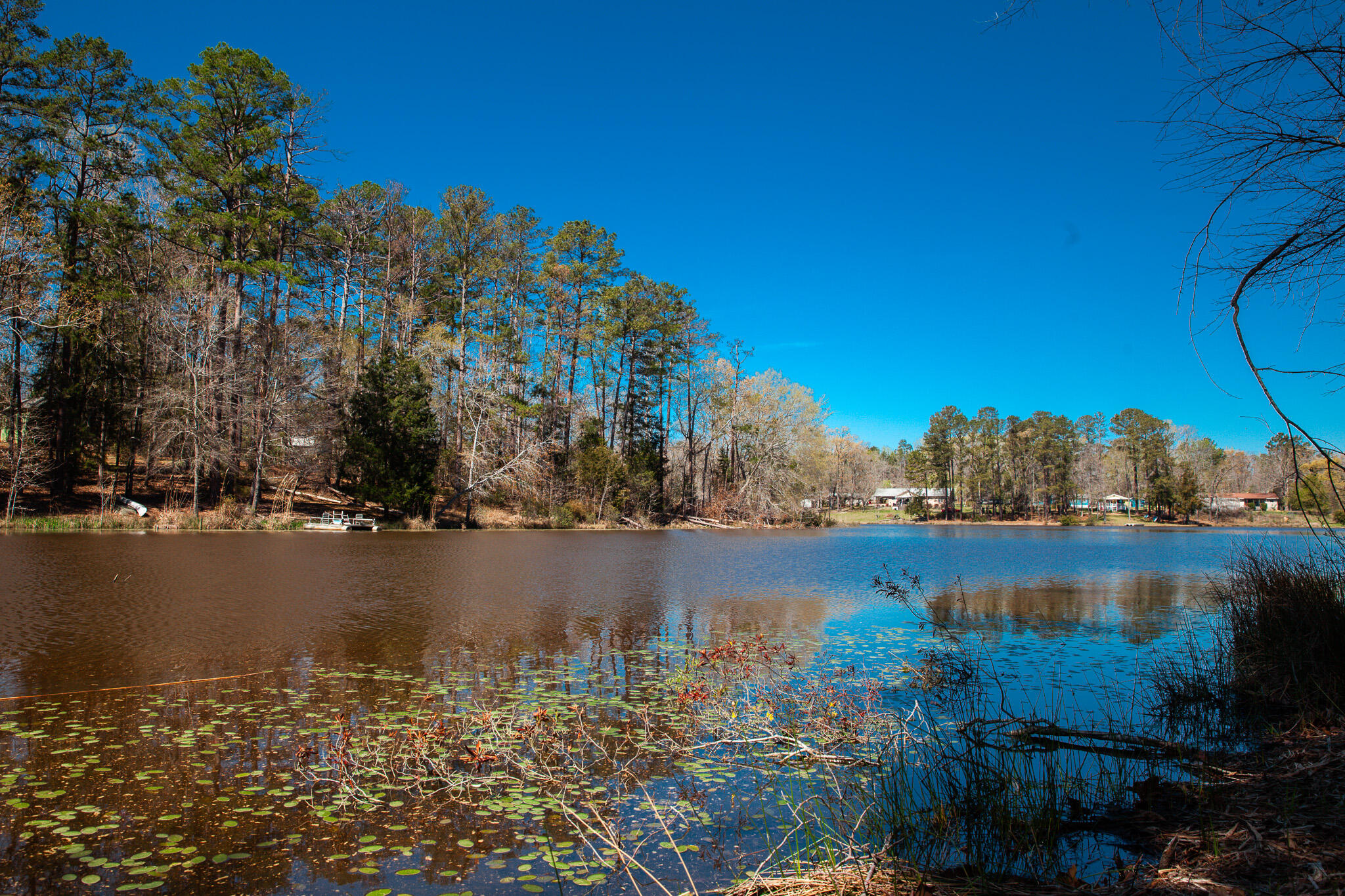 0 Mt Zion Church Road Lincolnton, GA 30817 - Photo 7 of 20 IMG_5030